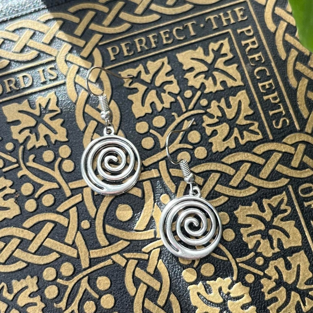 Silver Spiral Earrings